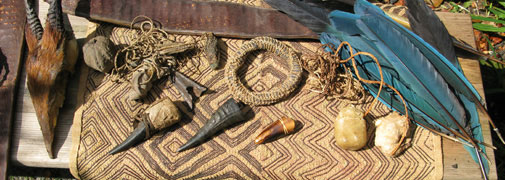 Antropologinje in antropologi v zdravstvu