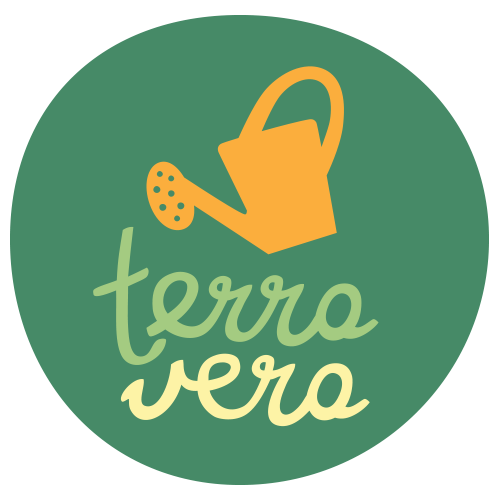 Mednarodni seminar o Tranzicijskih mestih, Kostanjevica na Krki (12.-20.10.)